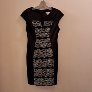 Dressbarn Dress Women's 4 Black Silver Lace Panel Intricate Contrast Sheath
